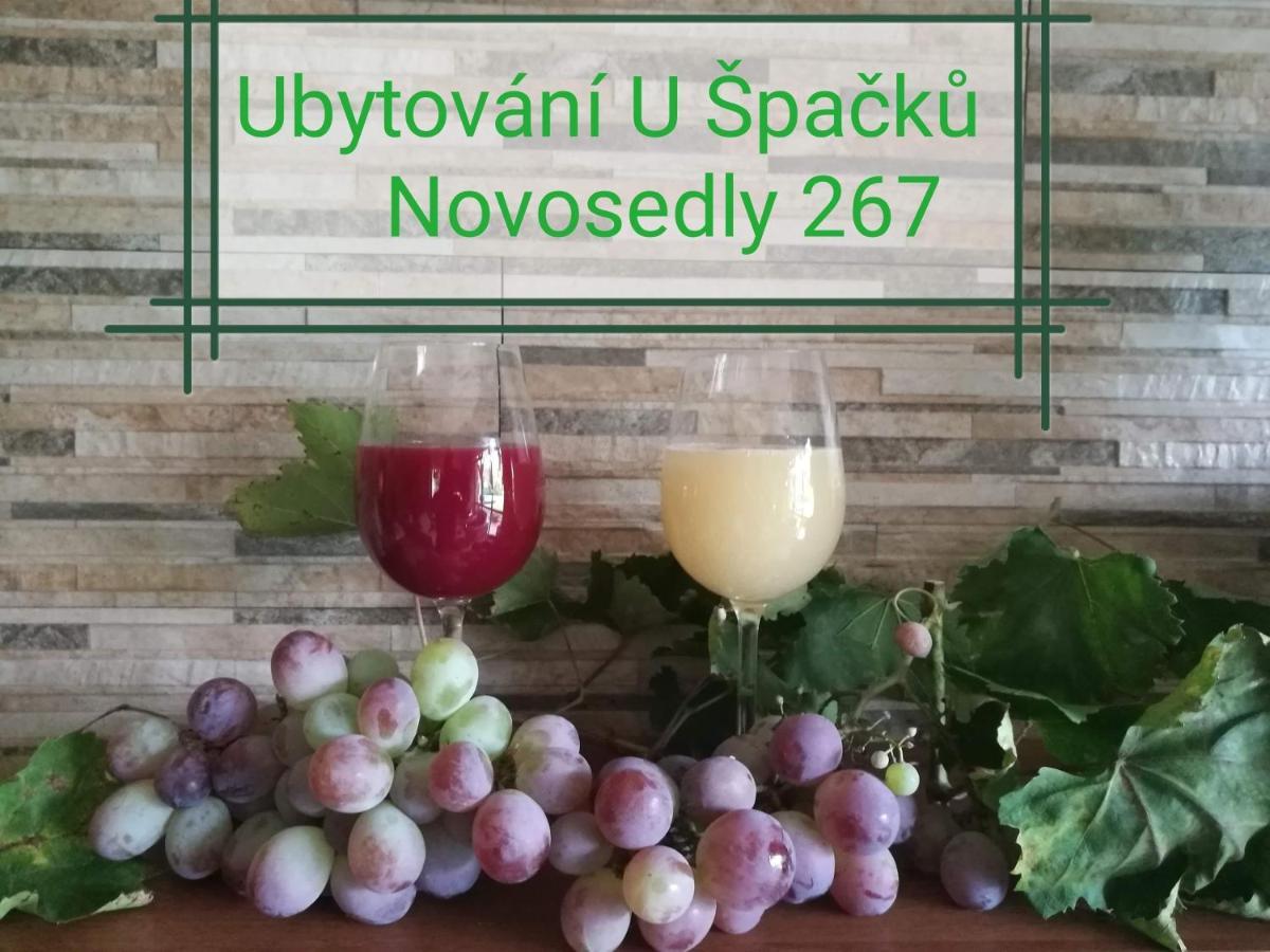 Ubytovani U Spacku Palava Novosedly Kültér fotó