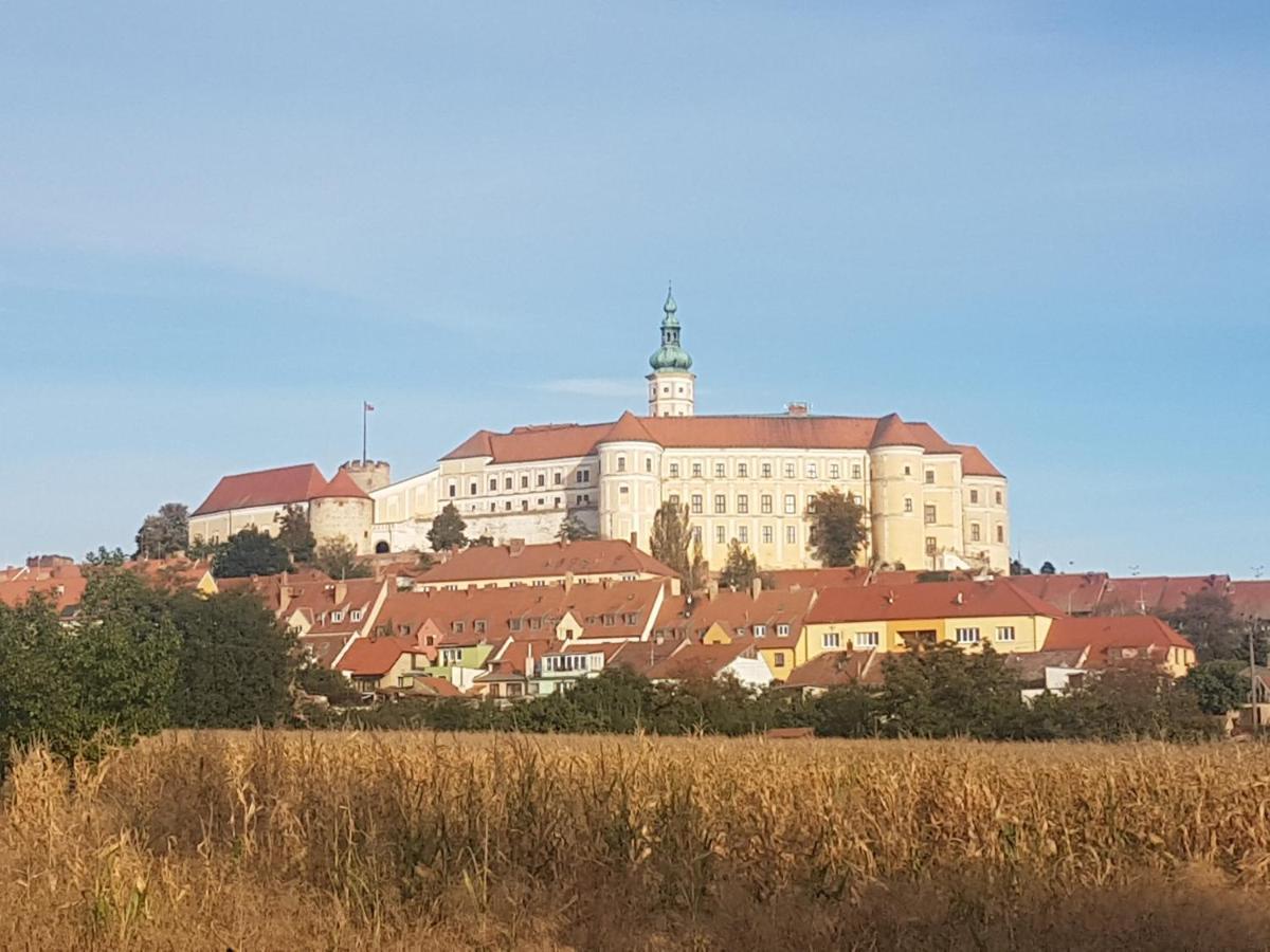 Ubytovani U Spacku Palava Novosedly Kültér fotó
