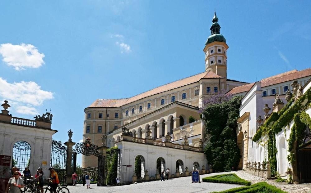 Ubytovani U Spacku Palava Novosedly Kültér fotó