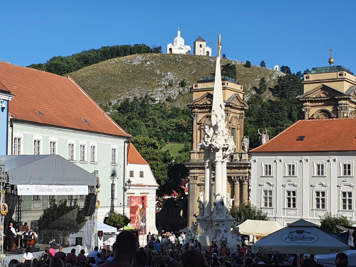Ubytovani U Spacku Palava Novosedly Kültér fotó